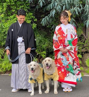 リングドッグ ゴールデンレトリバー 愛犬生活 コロン